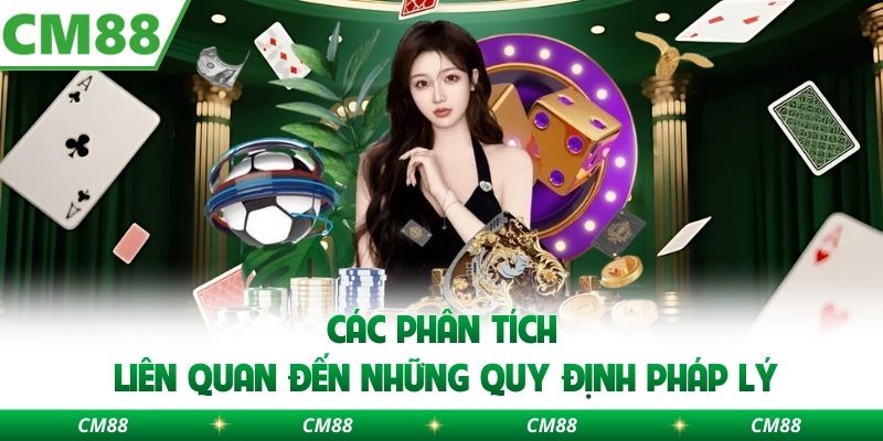 Các phân tích liên quan đến những quy định pháp lý