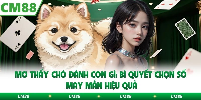 Mơ Thấy Chó Đánh Con Gì: Bí Quyết Chọn Số May Mắn Hiệu Quả