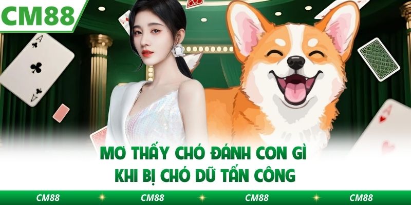 Mơ thấy chó đánh con gì khi bị chó dữ tấn công