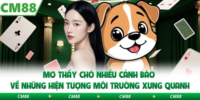 Mơ thấy chó nhiều cảnh báo về những hiện tượng môi trường xung quanh