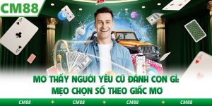 Mơ Thấy Người Yêu Cũ Đánh Con Gì: Mẹo Chọn Số Theo Giấc Mơ