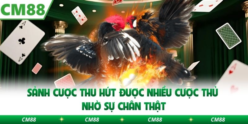 Sảnh cược thu hút được nhiều cược thủ nhờ sự chân thật